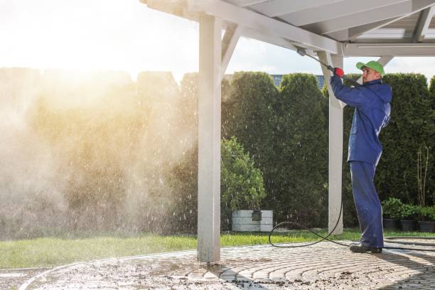 Best Soft Washing  in Woodsboro, TX